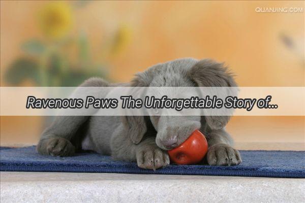 Ravenous Paws The Unforgettable Story of a Dogs Obsession with Mini Sweet Potatoes